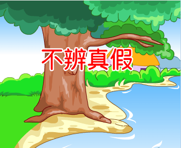不辨真假