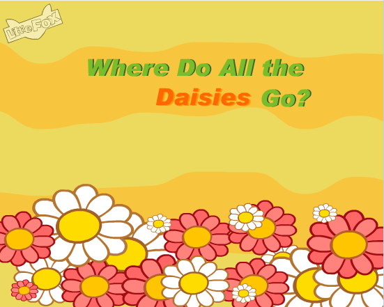 where do all the daisies go