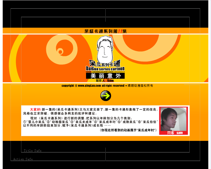 呆瓜之美丽意外