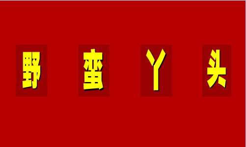 野蛮丫头第1集