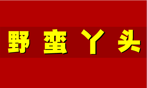 野蛮丫头第2集