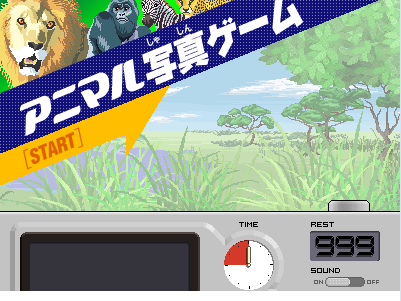 动物写真