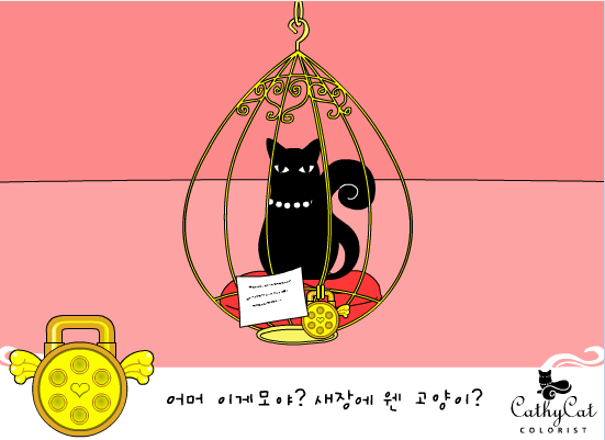 卧室救猫咪