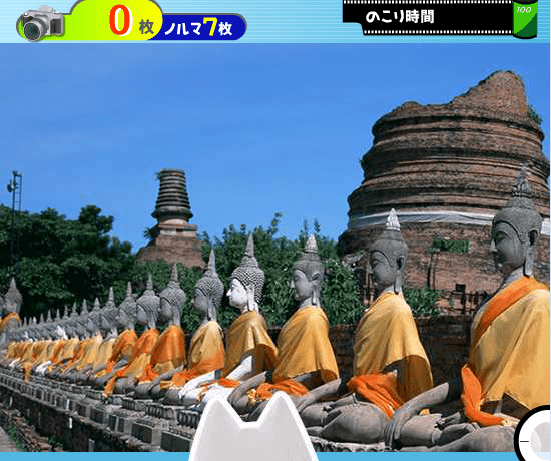 小猫国庆之旅